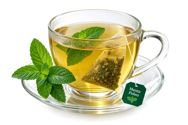 Menta poleo